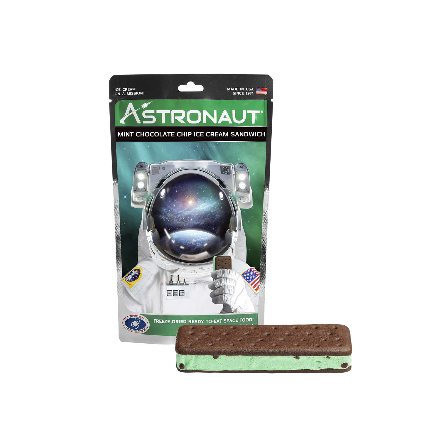 ASTRONAUT ICE CREAM- MINT CHOCOLATE CHIP