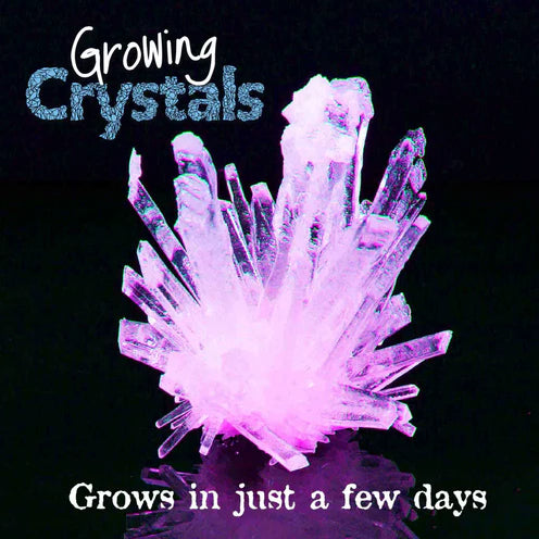 TEST TUBE GROWING CRYSTAL