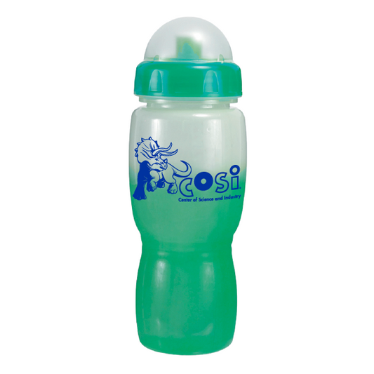 COLOR CHANGE DINO WATER BOTTLE